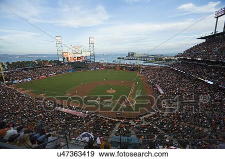 San Francisco, California, USA, October 16, 2014, AT&T Park, baseball stadium, SF Giants versus St. Louis Cardinals, National League Championship Series (NLCS), crowd watches game elevated view View Large Photo Image Stock Photo - San Francisco, California, USA, October 16, 2014, AT&T Park, baseball stadium, SF Giants versus St. Louis Cardinals, National League Championship Series (NLCS), crowd watches game elevated view. Fotosearch