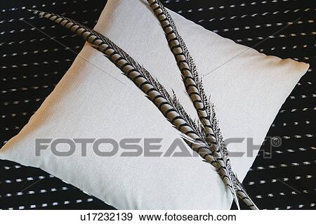 Stock Photo - Feathers on throw pillow. Fotosearch