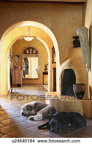 Picture - Pet dogs laying on tile floor in front of kiva fireplace. Fotosearch