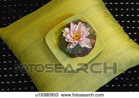 Stock Image - Water lily on green throw pillow. Fotosearch