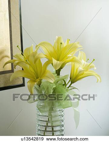 Yellow flowers in vase View Large Photo Image Stock Photo - Yellow flowers in vase. Fotosearch
