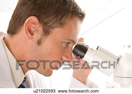Stock Image - Researcher at work. Fotosearch