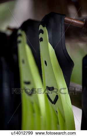 Stock Photo - 2 bright green diving flippers that look like happy Cyclops with a mustache. Fotosearch