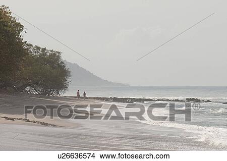 2 distant figures strolling on the sandy beach with tall trees and on an overcast day View Large Photo Image Picture - 2 distant figures strolling on the sandy beach with tall trees and on an overcast day. Fotosearch