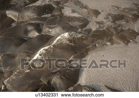 abstract grey rock formations formed by water erosion View Large Photo Image Stock Image - abstract grey rock formations formed by water erosion. Fotosearch