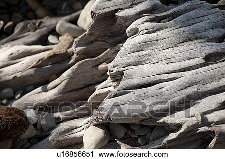 Stock Image - abstract grey rock formations formed by water erosion. Fotosearch