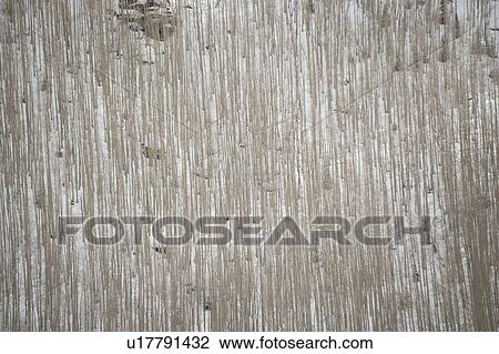 Stock Image - Aerial view of forest in Vail, Colorado. Fotosearch