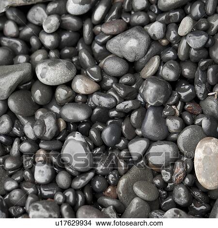 Assorted wet round rock pepples View Large Photo Image Picture - Assorted wet round rock pepples. Fotosearch