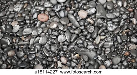 Assorted wet round rock pepples View Large Photo Image Stock Photo - Assorted wet round rock pepples. Fotosearch