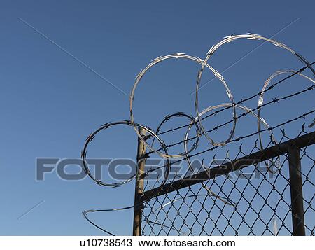 Barbwire on a fence in Vancouver, British Columbia, Canada View Large Photo Image Stock Image - Barbwire on a fence in Vancouver, British Columbia, Canada. Fotosearch