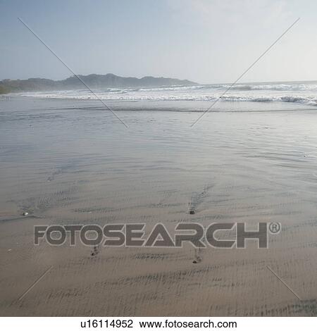 Beach along coastline in Costa Rica View Large Photo Image Stock Image - Beach along coastline in Costa Rica. Fotosearch