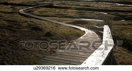 Boardwalk through the trails outside Mosfellsbaer View Large Photo Image Stock Photograph - Boardwalk through the trails outside Mosfellsbaer. Fotosearch