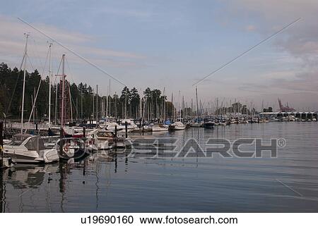 Boats docked at the marina Vancouver, British Columbia, Canada View Large Photo Image Stock Image - Boats docked at the marina Vancouver, British Columbia, Canada. Fotosearch