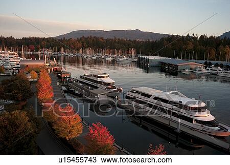 Stock Image - Boats docked in Vancouver, British Columbia, Canada. Fotosearch