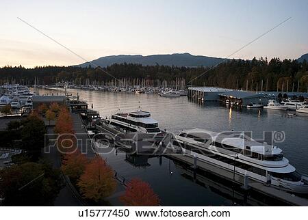 Boats docked in Vancouver, British Columbia, Canada View Large Photo Image Stock Image - Boats docked in Vancouver, British Columbia, Canada. Fotosearch
