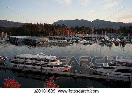 Boats docked in Vancouver, British Columbia, Canada View Large Photo Image Stock Photo - Boats docked in Vancouver, British Columbia, Canada. Fotosearch
