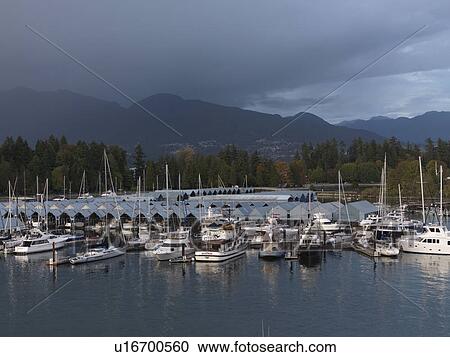 Boats in the marina in Vancouver, British Columbia, Canada View Large Photo Image Stock Image - Boats in the marina in Vancouver, British Columbia, Canada. Fotosearch
