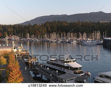 Boats in the marina in Vancouver, British Columbia, Canada View Large Photo Image Stock Photo - Boats in the marina in Vancouver, British Columbia, Canada . Fotosearch