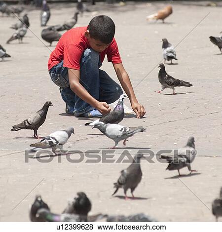 Stock Photo - Boy and pigeons in San Jose. Fotosearch