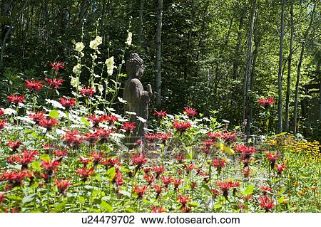 Stock Image - Buddha statue amongst wildflowers at Lake of the Woods, Ontario. Fotosearch