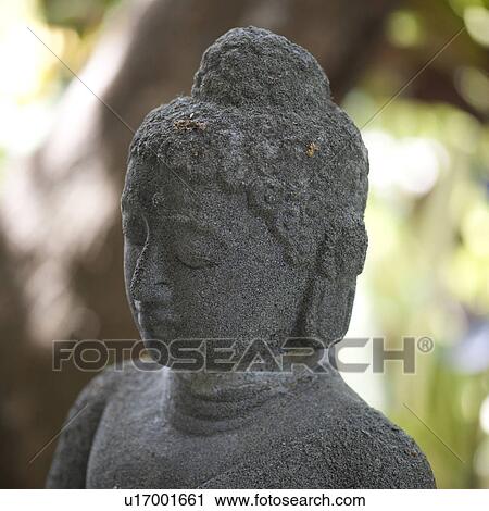 Buddha statue in Costa Rica View Large Photo Image Stock Image - Buddha statue in Costa Rica. Fotosearch