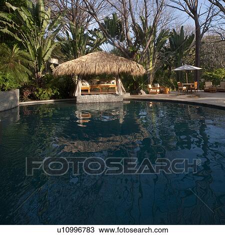 Cabana by poolside in Costa Rica View Large Photo Image Stock Image - Cabana by poolside in Costa Rica. Fotosearch