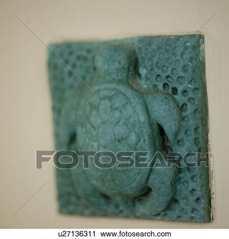 Carving of a turtle in Costa Rica View Large Photo Image Stock Image - Carving of a turtle in Costa Rica. Fotosearch
