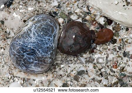 Stock Image - Coloured stones and pebbles along the shoreline in Costa Rica. Fotosearch
