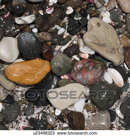 Coloured stones and pebbles along the shoreline in Costa Rica View Large Photo Image Stock Image - Coloured stones and pebbles along the shoreline in Costa Rica. Fotosearch