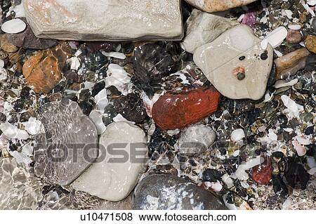 Coloured stones and pebbles along the shoreline in Costa Rica View Large Photo Image Stock Photo - Coloured stones and pebbles along the shoreline in Costa Rica. Fotosearch