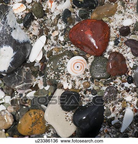 Stock Photograph - Coloured stones and pebbles along the shoreline in Costa Rica. Fotosearch