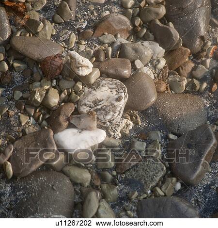 Colourful stones along shoreline in Costa Rica View Large Photo Image Stock Image - Colourful stones along shoreline in Costa Rica. Fotosearch
