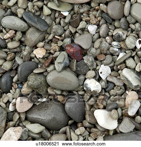 Colourful stones along shoreline in Costa Rica View Large Photo Image Stock Image - Colourful stones along shoreline in Costa Rica. Fotosearch