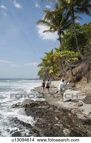Eroding shoreline at beach Costa Rica View Large Photo Image Picture - Eroding shoreline at beach Costa Rica. Fotosearch