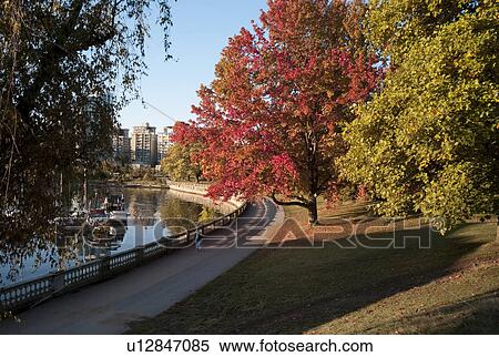 Fall foliage in Stanley Park in Vancouver, British Columbia, Canada View Large Photo Image Stock Photography - Fall foliage in Stanley Park in Vancouver, British Columbia, Canada. Fotosearch