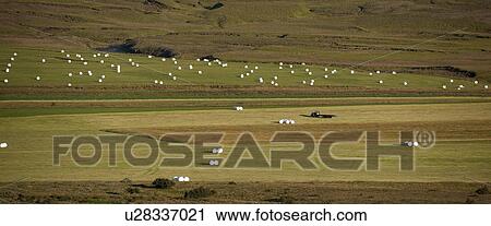 Stock Image - Farm fields with hay bales. Fotosearch