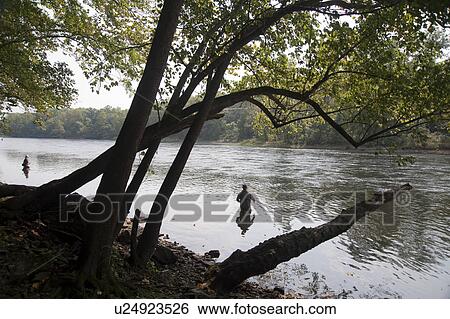Fly fishing in lake Taneycomo in Branson, Missouri View Large Photo Image Stock Photograph - Fly fishing in lake Taneycomo in Branson, Missouri. Fotosearch