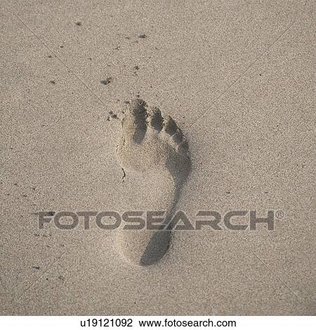 Stock Image - Footprint in the sand along shoreline in Costa Rica. Fotosearch