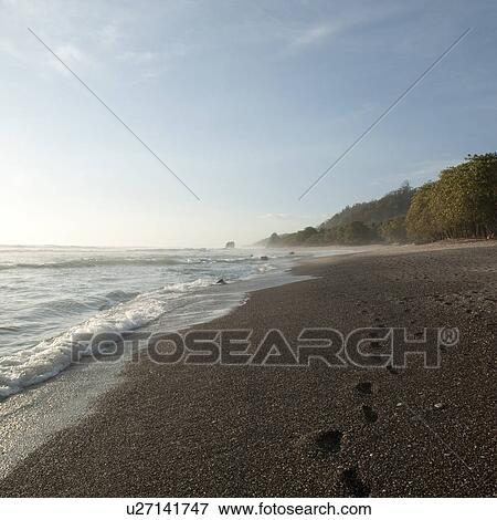 Stock Photo - Footprints in the sand along Coast Rica seashore. Fotosearch