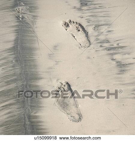 Stock Photo - Footprints in the sand along the coast of Costa Rica. Fotosearch
