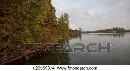 Forest along shoreline at Lake of the Woods, Ontario View Large Photo Image Picture - Forest along shoreline at Lake of the Woods, Ontario. Fotosearch