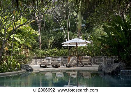 Stock Image - Four lounge chairs under a sun umbrella, in the jungle next to the reflective swimming pool. Fotosearch