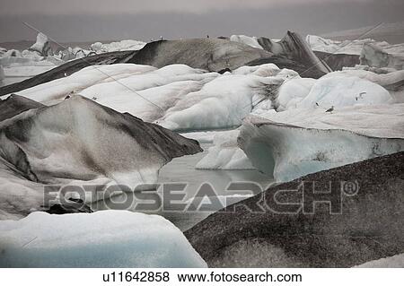 Frozen blue icebergs in a glacial lake View Large Photo Image Stock Photo - Frozen blue icebergs in a glacial lake. Fotosearch