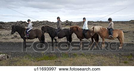 Stock Photo - Girls in riding helmets in a row on Icelandic horses . Fotosearch