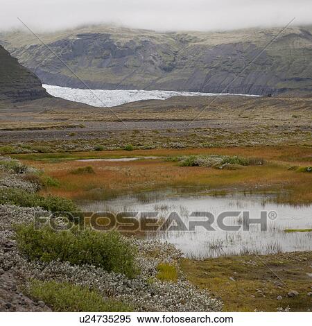 Glacier through mountain valley, wetlands in forefront View Large Photo Image Stock Photography - Glacier through mountain valley, wetlands in forefront. Fotosearch