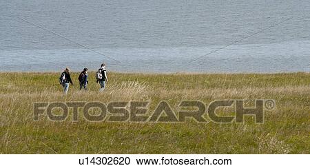 Stock Image - Hikers walking through grasslands along shoreline. Fotosearch