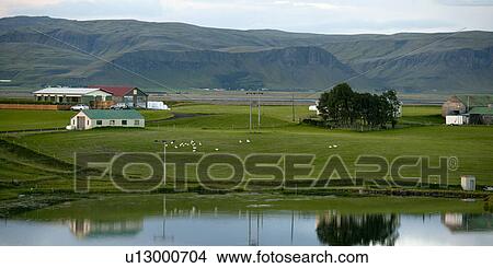 Picture - Hillside farmyard with waterfowl next to reflective pond. Fotosearch