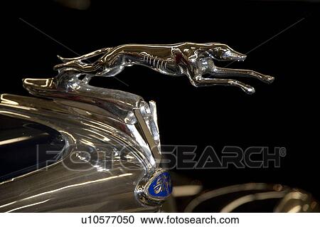 Stock Image - Hood ornament of a vintage car in Branson, Missouri. Fotosearch