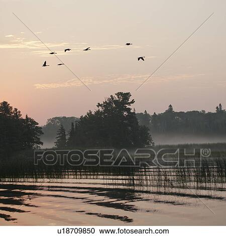 Stock Image - Horizon sky at sunset in Lake of the Woods, Ontario. Fotosearch