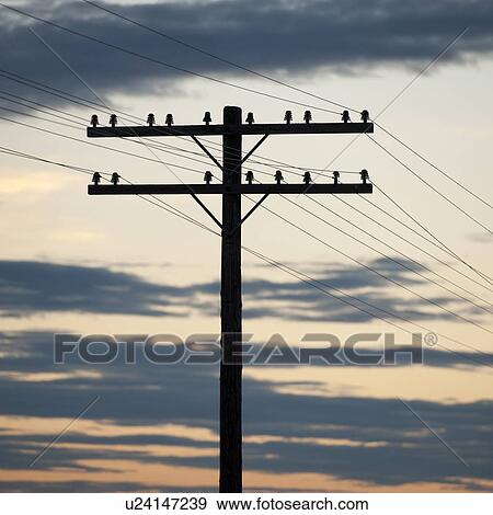 Hydro electric pole against the evening sky in Lake of the Woods, Ontario View Large Photo Image Stock Photo - Hydro electric pole against the evening sky in Lake of the Woods, Ontario. Fotosearch
